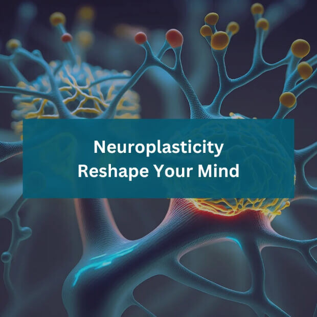 Neuroplasticity